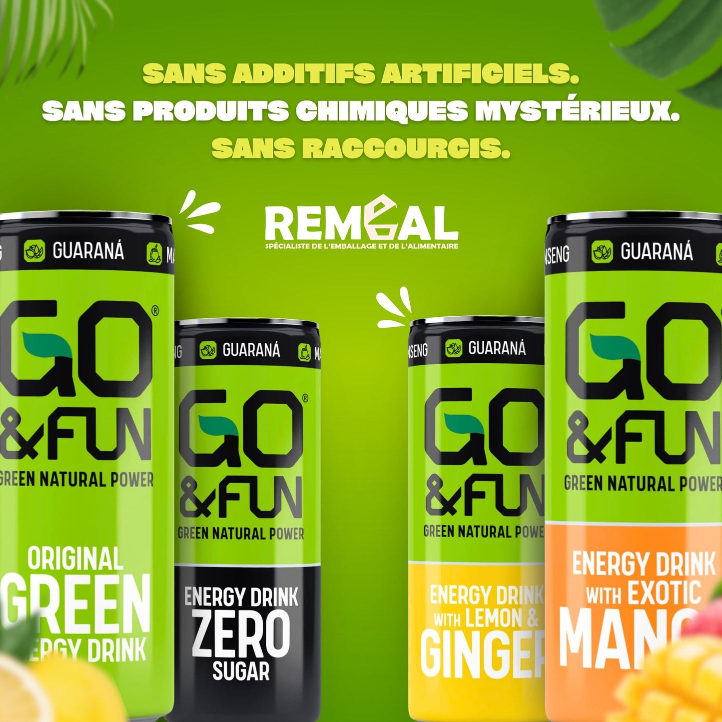 Go & Fun  - boisson énergisante 100% naturel